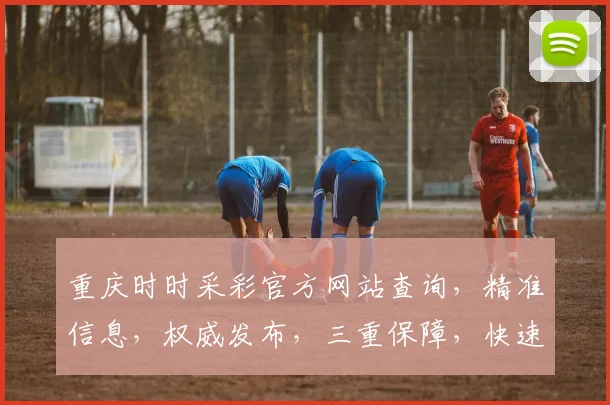 重庆时时采彩官方网站查询,精准信息,权威发布,三重保障,快速查询,一网打尽
